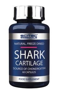 Хондропротектор Scitec Nutrition Shark Cartilage 60 капсул (60 порций)